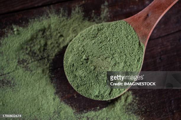 moringa oleifera leaf powder in wooden spoons: a nutritious alternative - moringa oleifera stockfoto's en -beelden