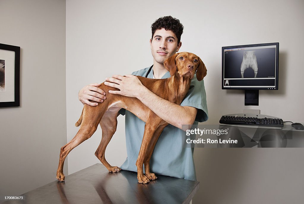 Veterinary assistant holding Vizsla, portrait