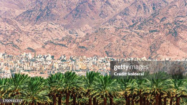 palm trees orchard with distant view of aqaba city and surrounding mountains - jordan stock pictures, royalty-free photos & images