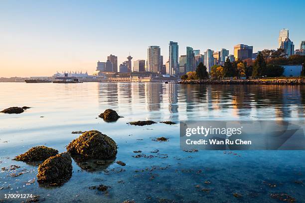 vancouver skyline at stanley park - stanley park vancouver canada stockfoto's en -beelden