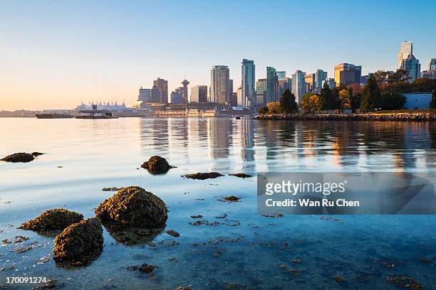vancouver skyline at stanley park - vancouver stock pictures, royalty-free photos & images
