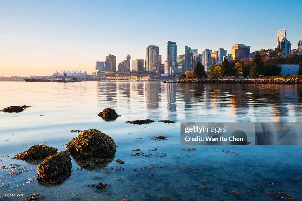 Vancouver skyline at Stanley Park