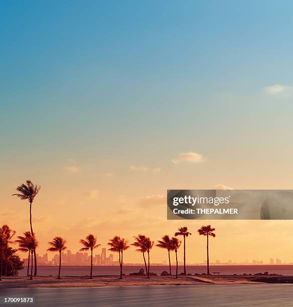 beach miami - beach sunrise stock pictures, royalty-free photos & images