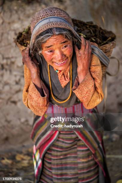 old tibetan woman carrying basket of yak's dung, upper mustang, nepal - tibet stock pictures, royalty-free photos & images