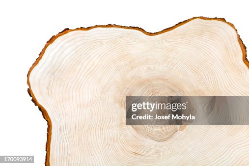 Kreuze Abschnitt Holz Kreuze Abschnitt Holz