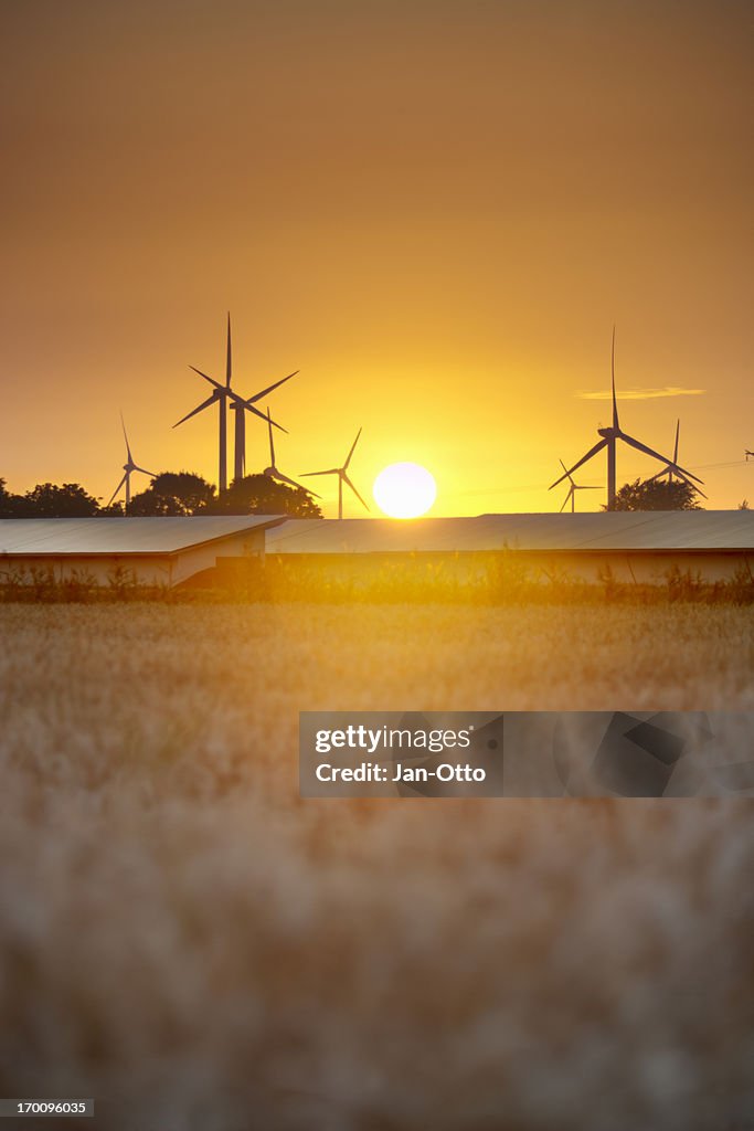 Windmühlen und Solarzellen und Sonnenuntergang