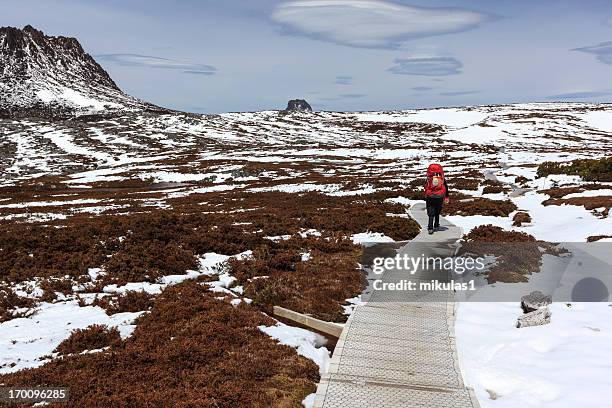 tasmanian overland track - cradle mountain tasmania stockfoto's en -beelden