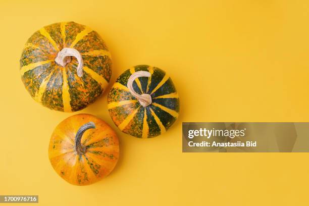 several jack be little pumpkins on yellow background.good as autumn background with negative space. - jack be little squash ストックフォトと画像