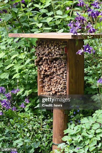 insektenhotel - hotel insect shelter - insectenhotel stock pictures, royalty-free photos & images