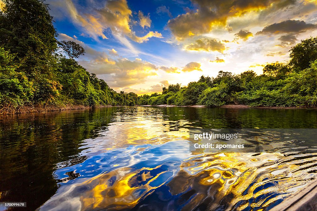 Paisaje espectacular sobre un río en el Amazonas estado de Venezuela