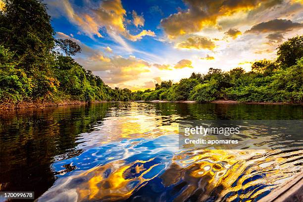 dramatic landscape on a river in the amazon state venezuela - venezuela stockfoto's en -beelden