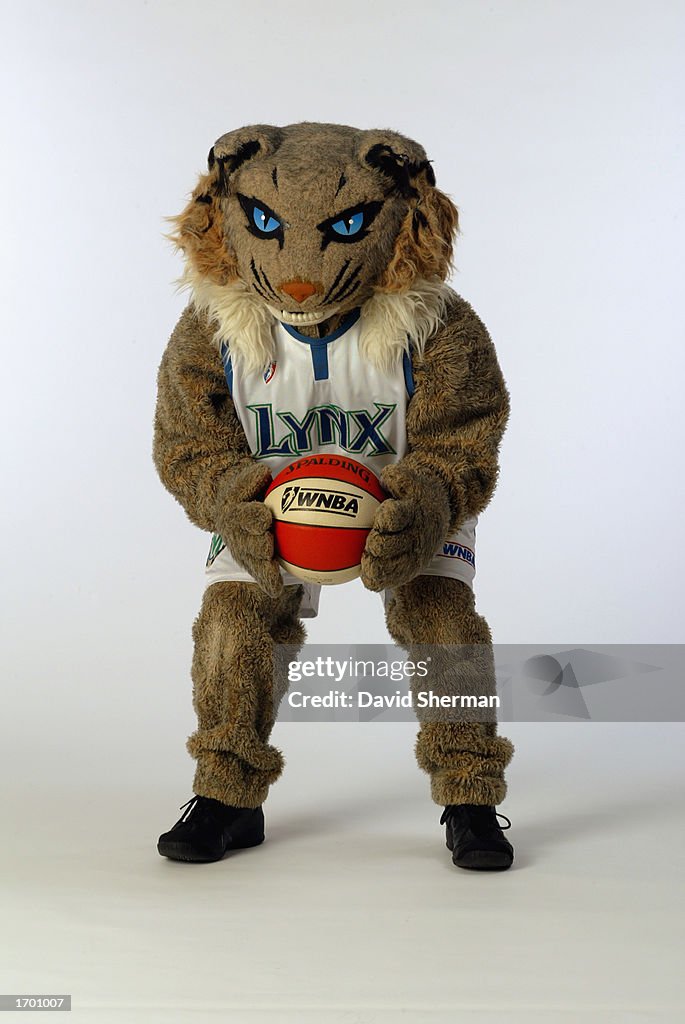 Prowl, the Minnesota Lynx mascot poses