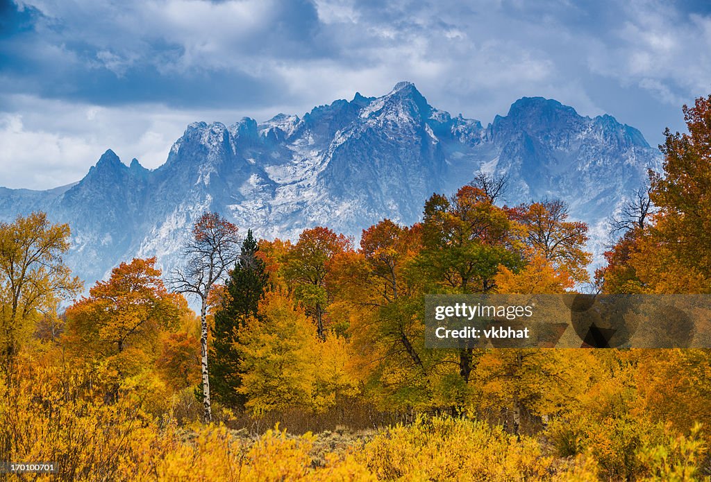 Grand Teton National Park im Herbst