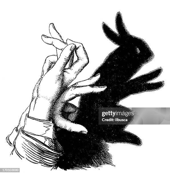 Rabbit Shadow Photos and Premium High Res Pictures - Getty Images