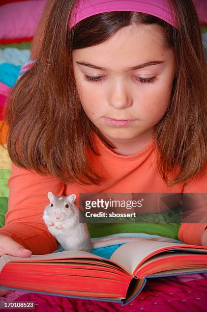 girl reading con su mascota gerbo - gerbo fotografías e imágenes de stock
