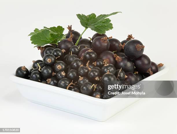 jostaberry and black currant - jostaberry stock pictures, royalty-free photos & images