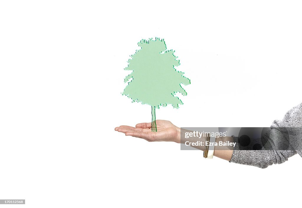 Green perspex tree on palm of a hand.