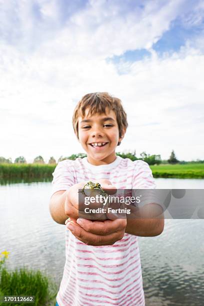 on a frog hunt - boy frog stock pictures, royalty-free photos & images