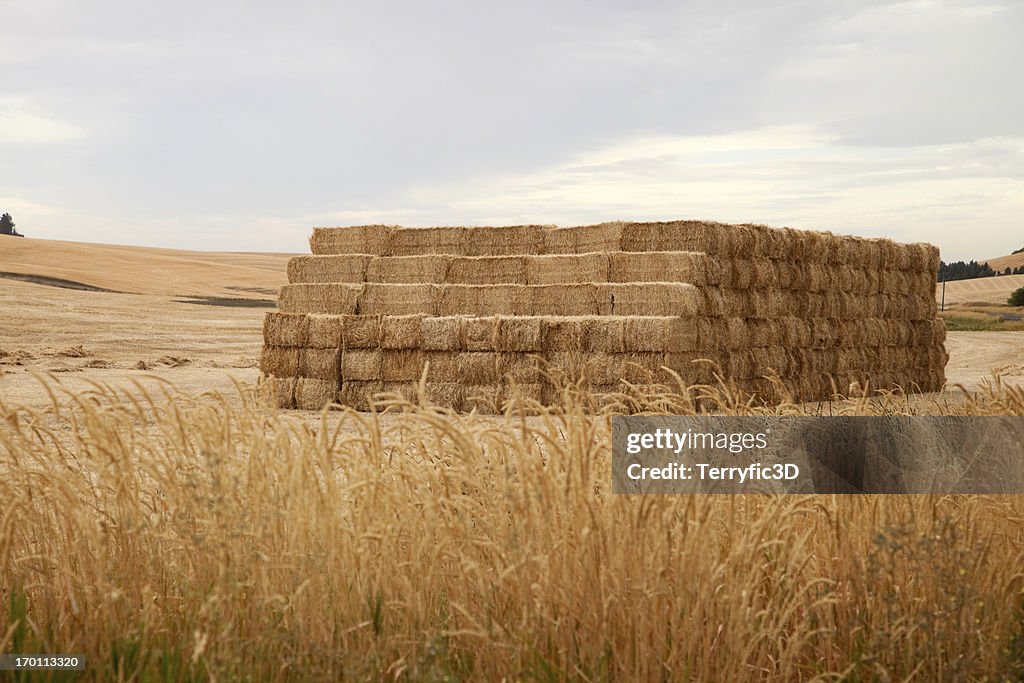 Bales of Hay in Palouse WA