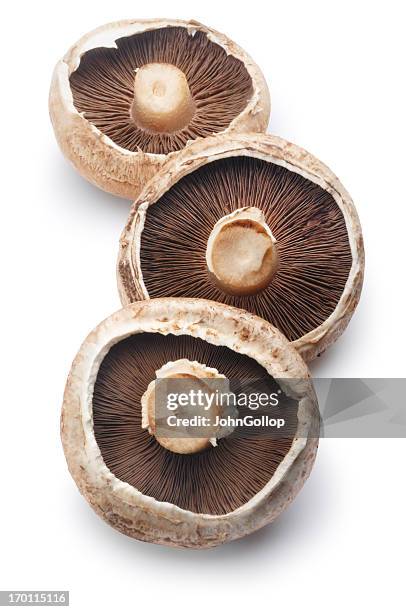 mushrooms - portobello mushroom stock pictures, royalty-free photos & images