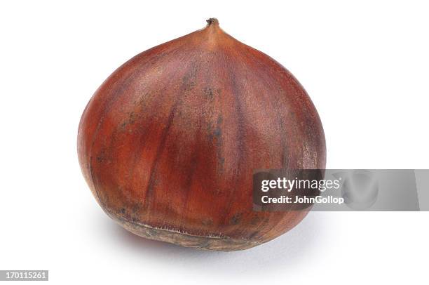 chestnut - chestnuts stock pictures, royalty-free photos & images