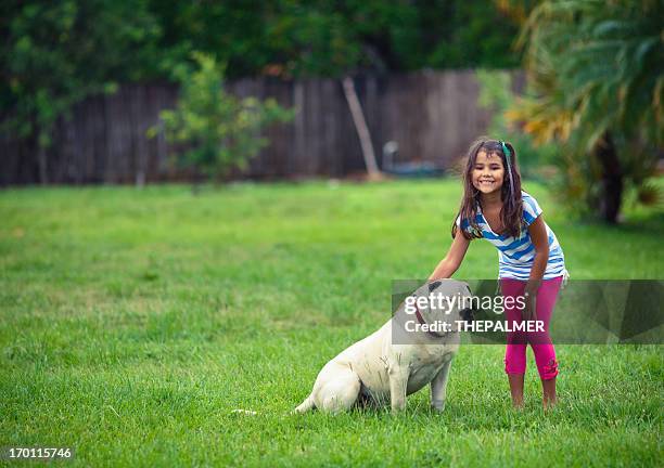 little girl and dog - american bulldog stock pictures, royalty-free photos & images