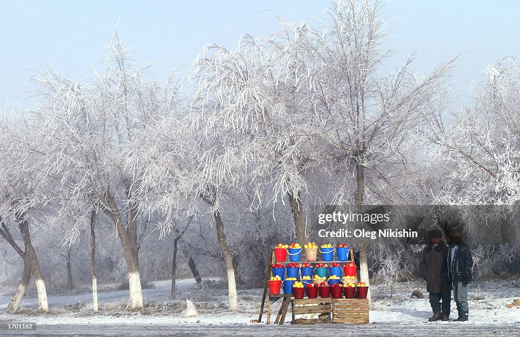 A Street Vendor Sells Apples Near Almaty