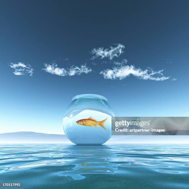 goldfish in a fish bowl floating on the sea - aquarium definition stock pictures, royalty-free photos & images