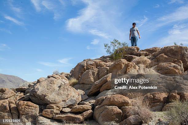 homme au parc national de anza borrego - anza national park photos et images de collection