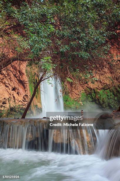 grand canyon national park - mooney falls stock pictures, royalty-free photos & images