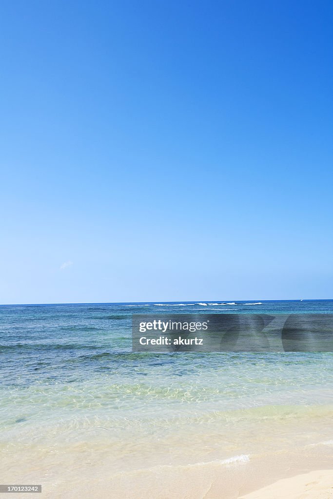 Spring Break Beach Water White Sand Blue Sky Vacation Background High ...