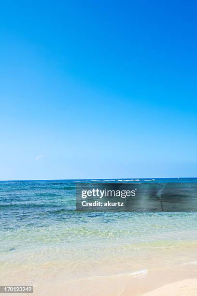 Spring Break Beach Water White Sand Blue Sky Vacation Background High ...