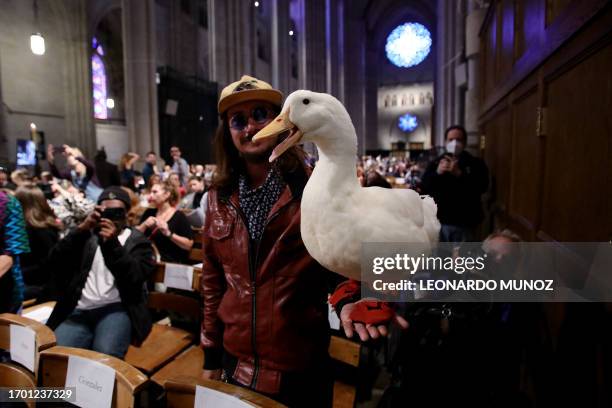 Person holds their pet for the Blessing of the Animals during the St. Francis Day Service at the Cathedral of St. John the Divine in New York City on...