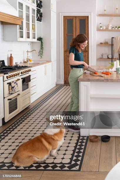 woman cutting carrot by dog in kitchen at home - turnip stock pictures, royalty-free photos & images