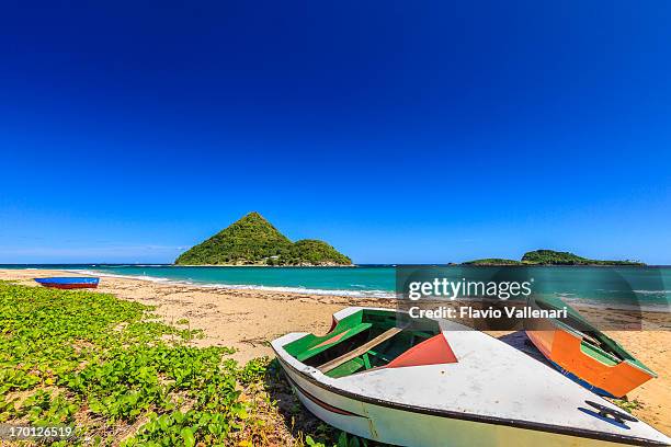 levera strand und grenada w.i. - insel grenada stock-fotos und bilder