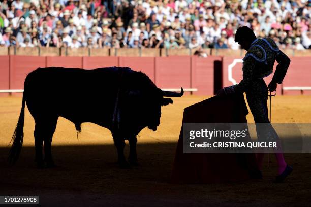 French bullfighter Sebastian Castella performs a pass with muleta on a bull during a bullfight at La Maestranza bullring in Sevilla on October 1,...