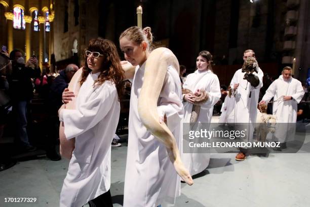 People take part in the Procession of Animals before the Blessing of the Animals during the St. Francis Day Service at the Cathedral of St. John the...