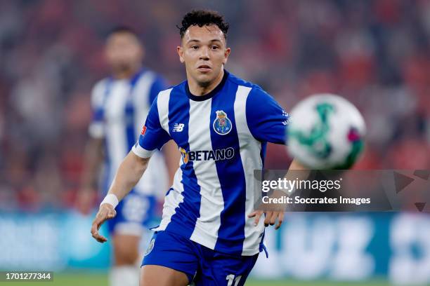 Pepe of FC Porto during the Portugese Primeira Liga match between Benfica v FC Porto at the Estadio Da Luz on September 29, 2023 in Porto Portugal