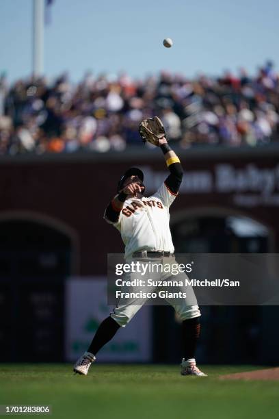 14,069 San Francisco Giants Brandon Crawford Photos & High Res Pictures -  Getty Images