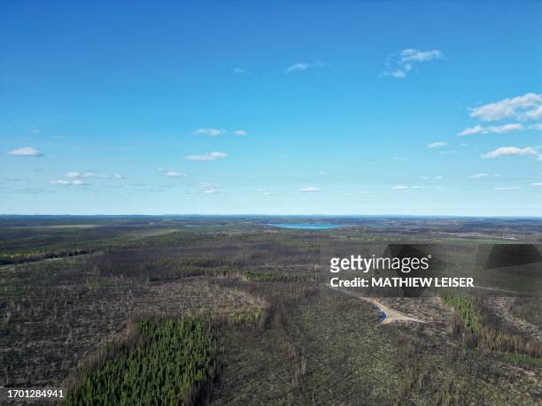 This aerial photo shows burned forest partially harvested by timber companies on the ancestral lands of the Lac-Simon indigenous community, Quebec on...