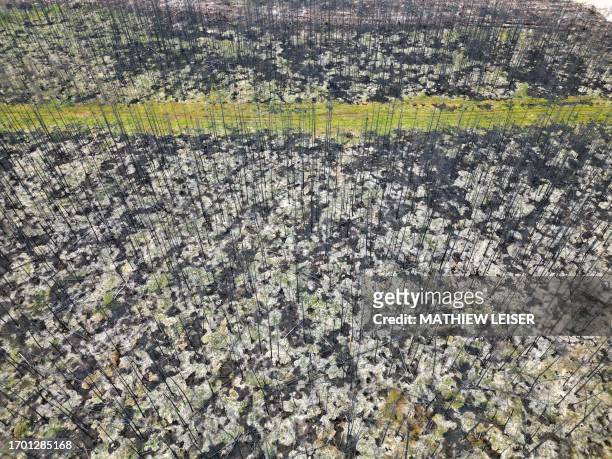 This aerial photo shows the burnt forest on September 22 around Normetal, Quebec, Canada, a village that was evacuated during the month of June due...