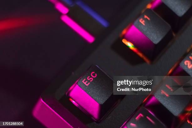 87,170 Computer Keyboard Stock Photos, High-Res Pictures, and Images ...