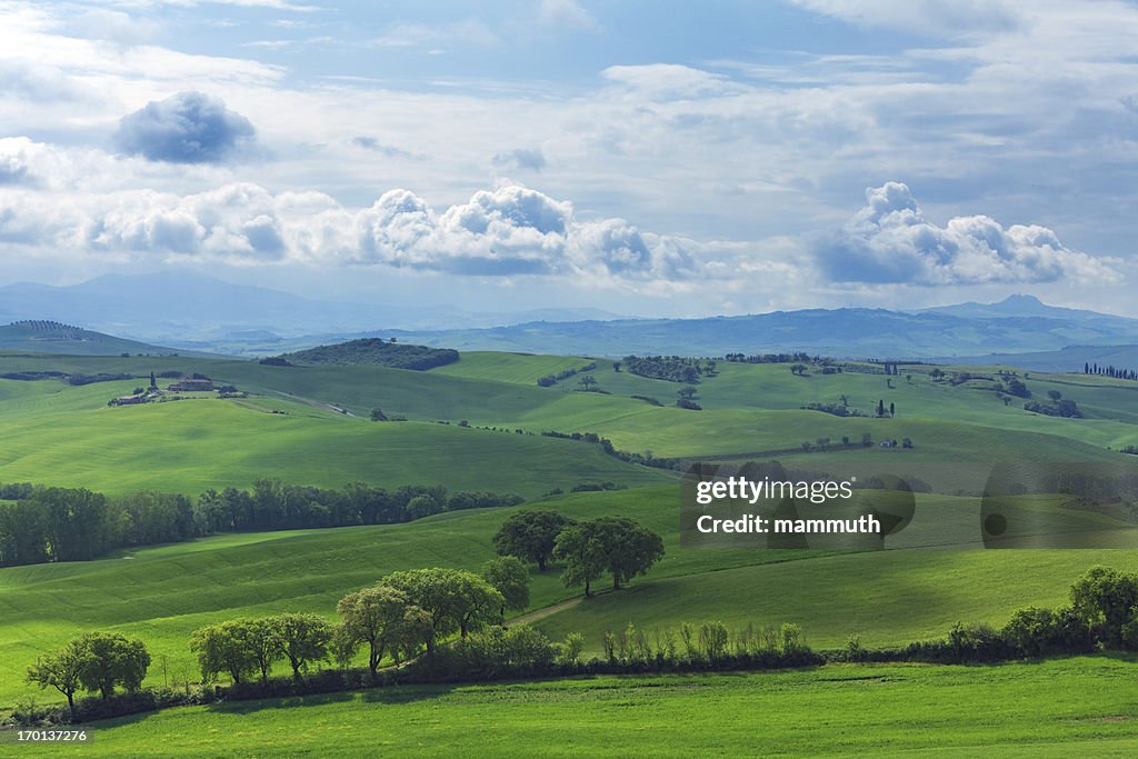 Green hills of Tuscany in the spring