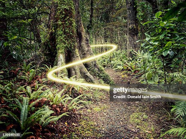 light path - light trail nature stock pictures, royalty-free photos & images