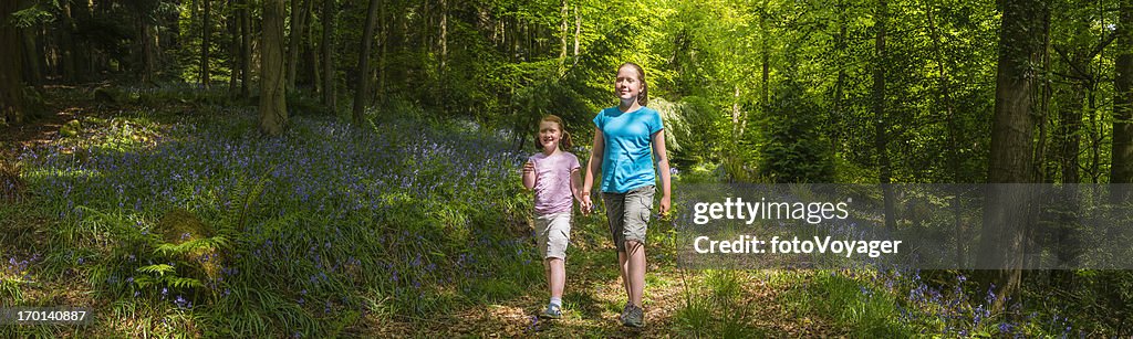 Enfants marchant si estivale idyllique woodland panorama forêt