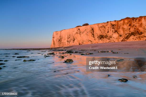 chalk cliffs near atlantic coasts at sunset - haute normandie 個照片及圖片檔