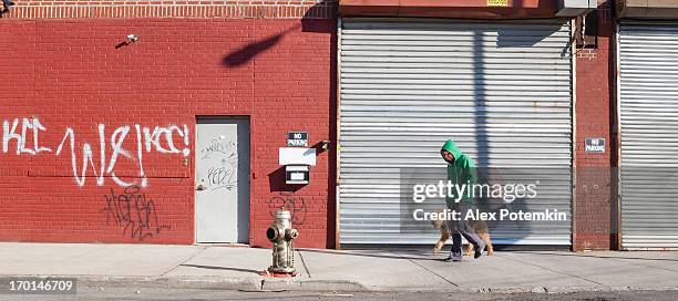 young man walks dog - graffiti wall stock pictures, royalty-free photos & images