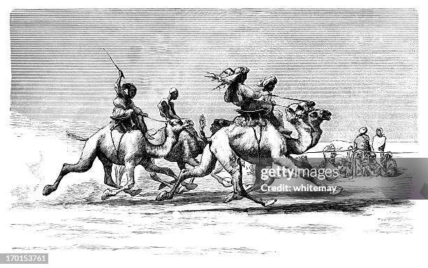 camel racing in egypt - camel racing stock illustrations