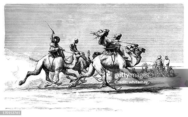 camel racing in egypt - women whipping men 幅插畫檔、美工圖案、卡通及圖標