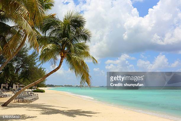 caraibi: spiaggia da sogno - grand cayman islands foto e immagini stock